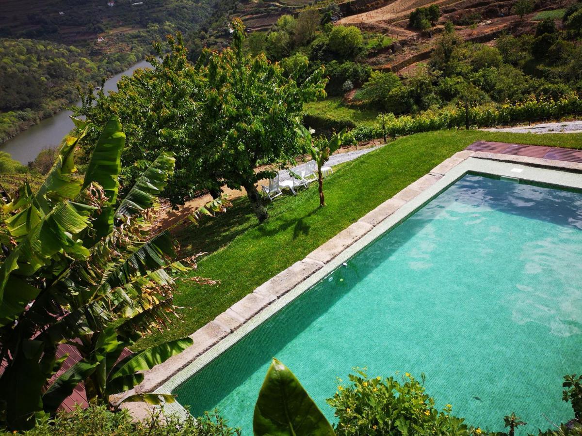 Villa Quinta Barqueiros D'Ouro - Casa da Música Mesão Frio Exterior foto