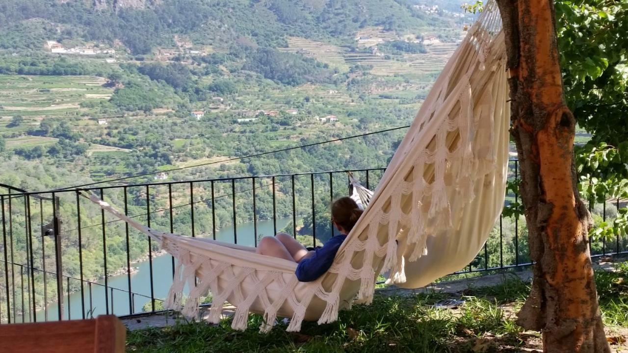 Villa Quinta Barqueiros D'Ouro - Casa da Música Mesão Frio Exterior foto